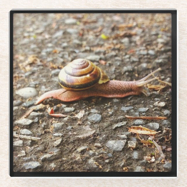 Red Snail Glasuntersetzer (Vorderseite)