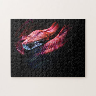 Red Snake on Black - HD Foto Puzzle