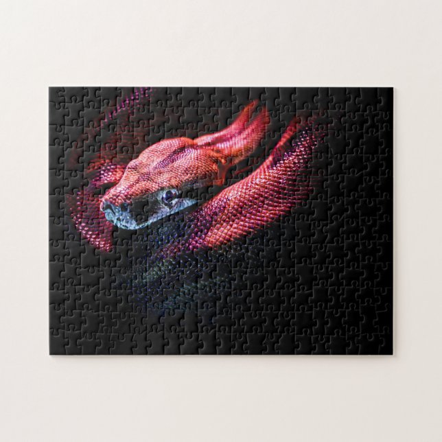 Red Snake on Black - HD Foto Puzzle (Horizontal)
