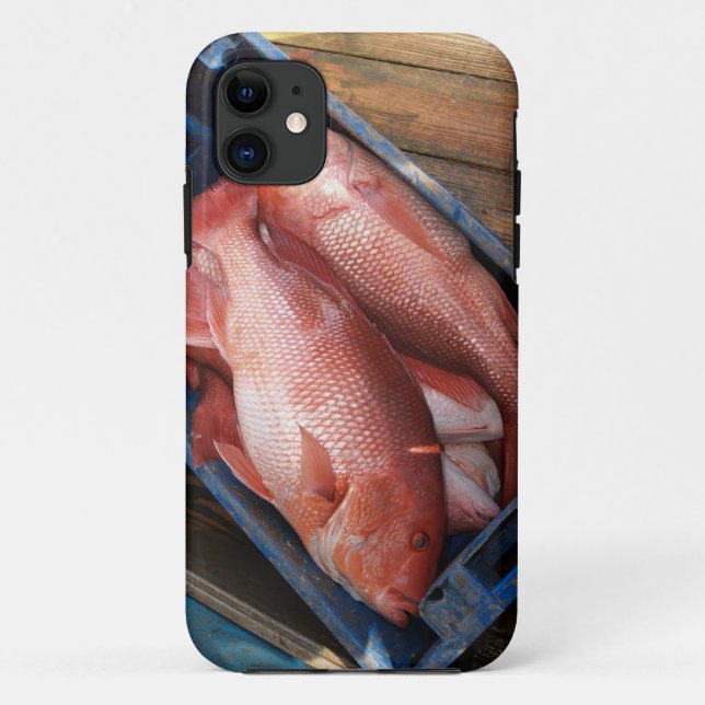 Red Snapper Fish iPhone 5 Case-Mate iPhone Hülle (Rückseite)