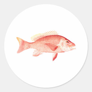 Red Snapper Runder Aufkleber