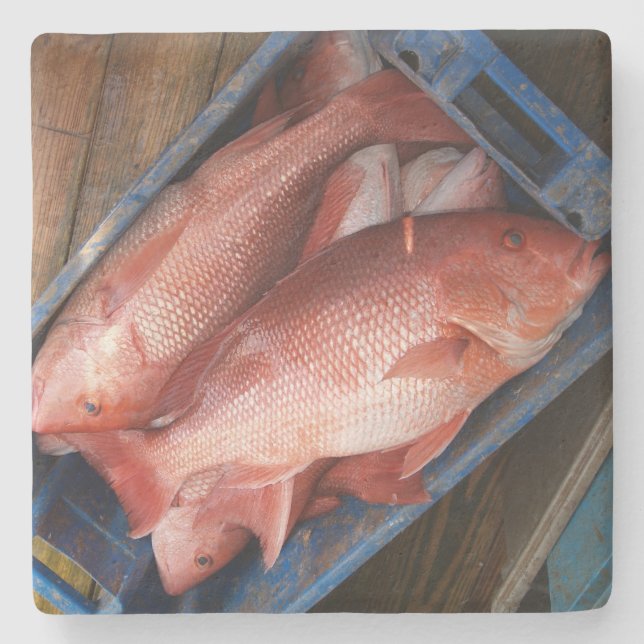 Red Snapper Square Untersetzer (Vorderseite)