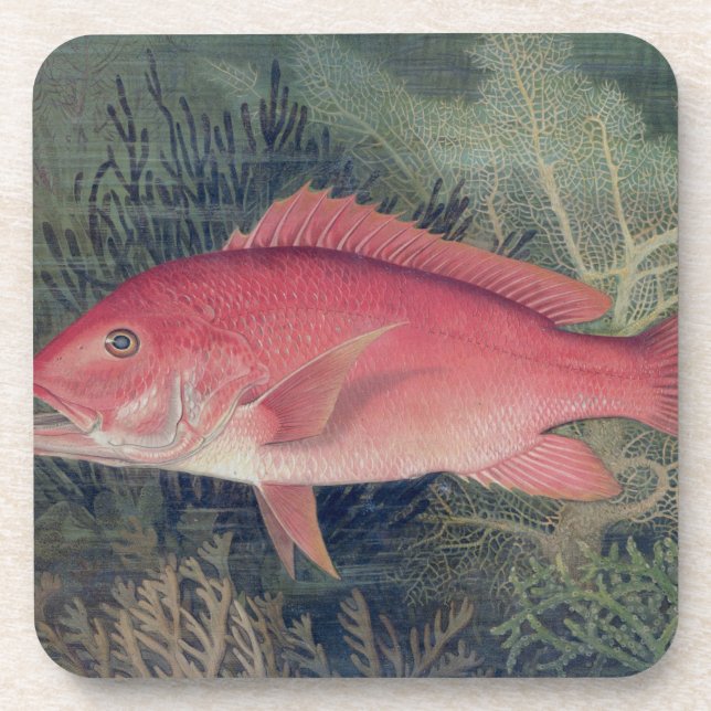 Red Snapper, von "Game Fish the United Staat Untersetzer (Vorderseite)