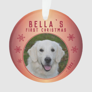 Red Snowflake Puppy Foto Ornament