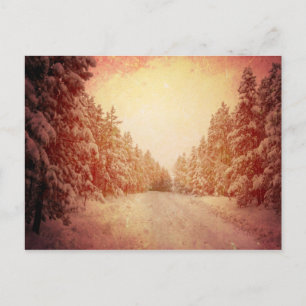Red Snowy Road, Conifer, CO Postkarte