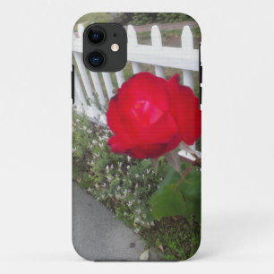 Red Solo Rose iPhone 11 Hülle
