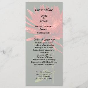 Red Spider Mum Programm