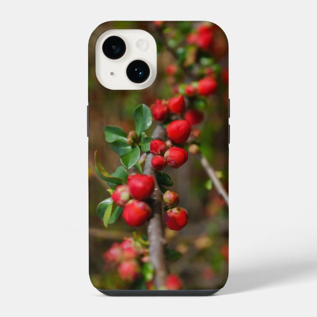 Red Spring Buds iPhone Case 14 Hülle (Rückseite)