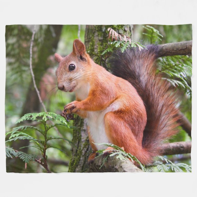 RED SQUIRREL 2 FLEECEDECKE (Vorderseite (Horizontal))