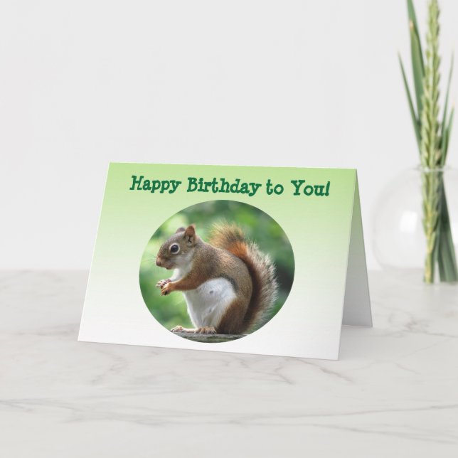 Red Squirrel Birthday Karte (Vorderseite)