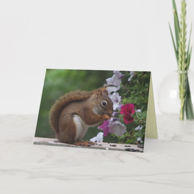 Red Squirrel Birthday Karte (Vorderseite)