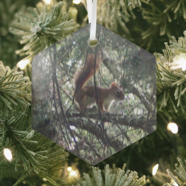 Red Squirrel Glass Hexagonornament Ornament Aus Glas (Insitu)