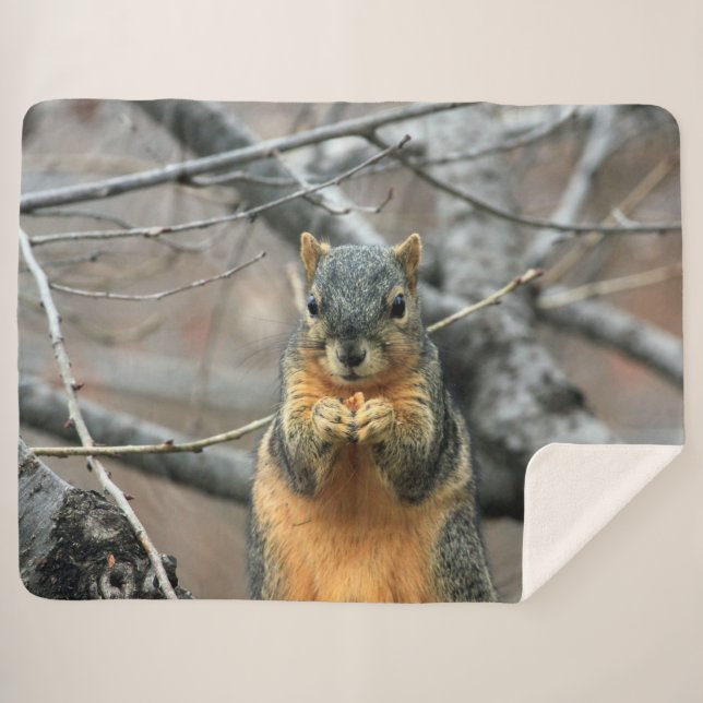 RED SQUIRRL SHERPADECKE (Vorderseite (Horizontal))