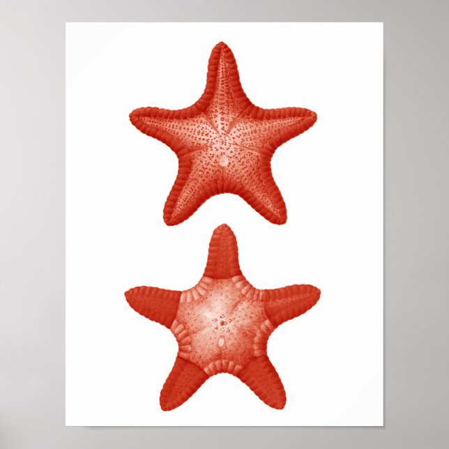 Red Starfish No.2 Nautical Wall Art Deco Print Poster (Vorne)