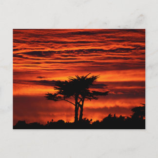 Red Sunset, Santa Cruz Kalifornien Postkarte