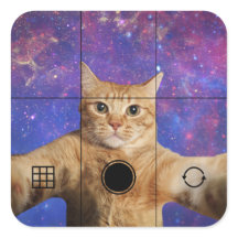 Red Tabby Cat Selfie im Weltraum