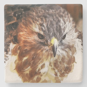 RED TAED HAWK STEINUNTERSETZER