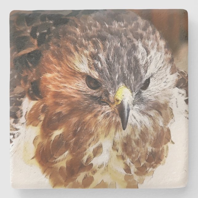 RED TAED HAWK STEINUNTERSETZER (Vorderseite)