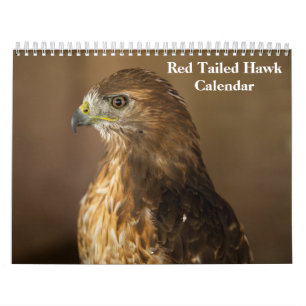 Red Tail Hawk 2025 Kalender