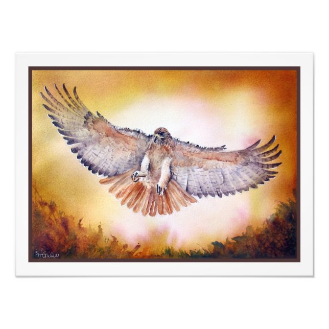Red Tail Hawk Aquarellmalerei Fotodruck (Vorne)