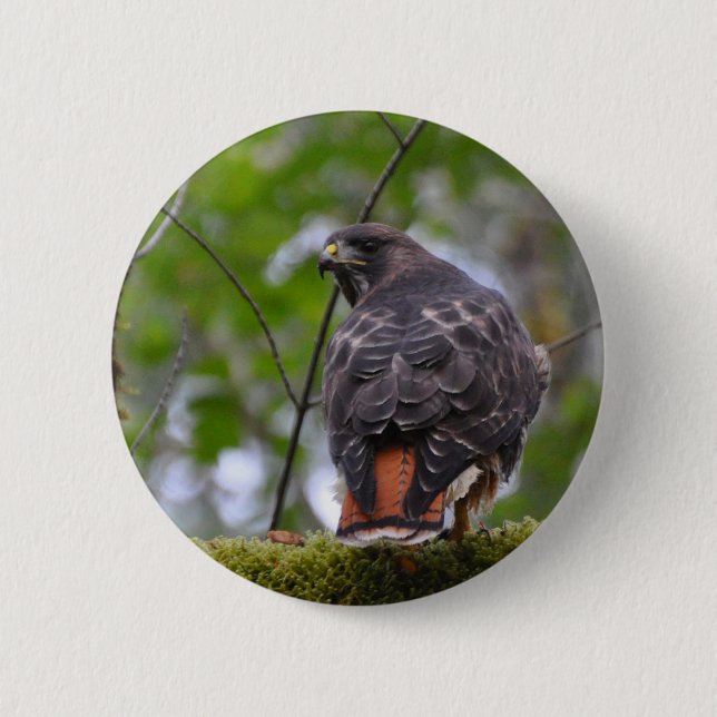 Red-Tail Hawk Button (Vorderseite)