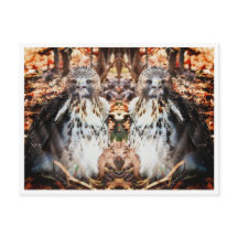 Red Tail Hawk Doubled