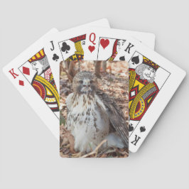 Red Tail Hawk Doubled Spielkarten