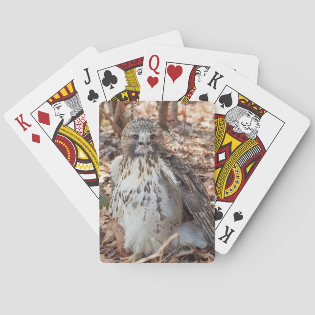 Red Tail Hawk Doubled Spielkarten (Rückseite)