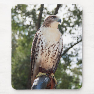 Red-Tail Hawk Mousepad
