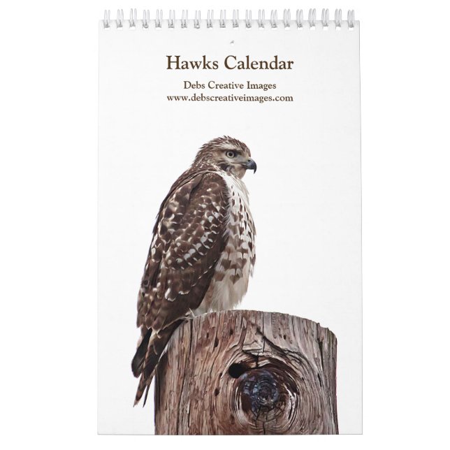 Red Tail Hawks 2026 Kalender (Titelbild)