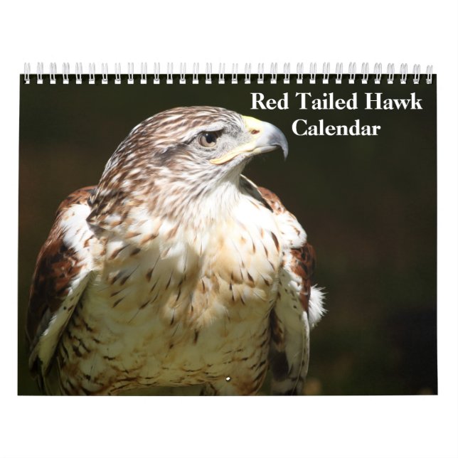 Red Tailed Hawk 2023 Kalender (Titelbild)