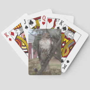 Red-tailed Hawk Playing Cards Spielkarten