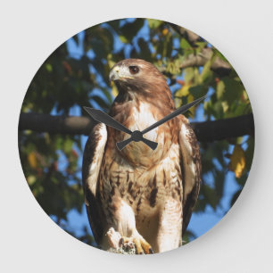 Red Tailing Hawk Große Wanduhr