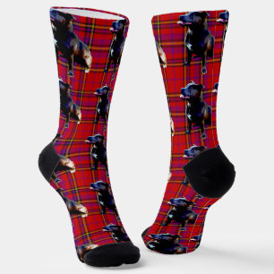 Red Tartan Staffordshire Bull Terrier, Crew Socks Socken