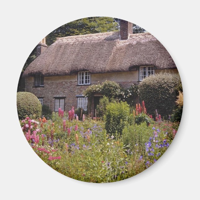 Red Thomas Hardy's Hütte, Dorset, England Blume Magnet (Vorne)