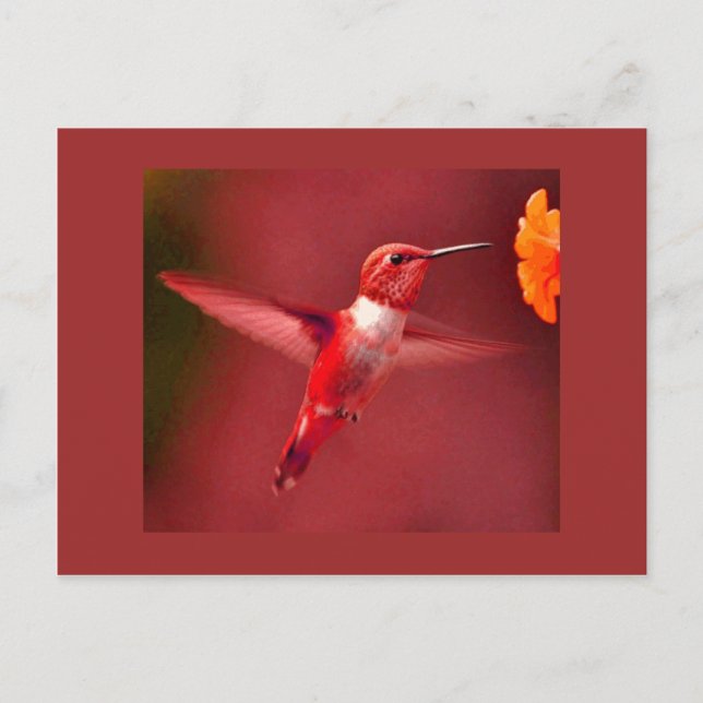 Red Toned Hummingbird Postkarte (Vorderseite)