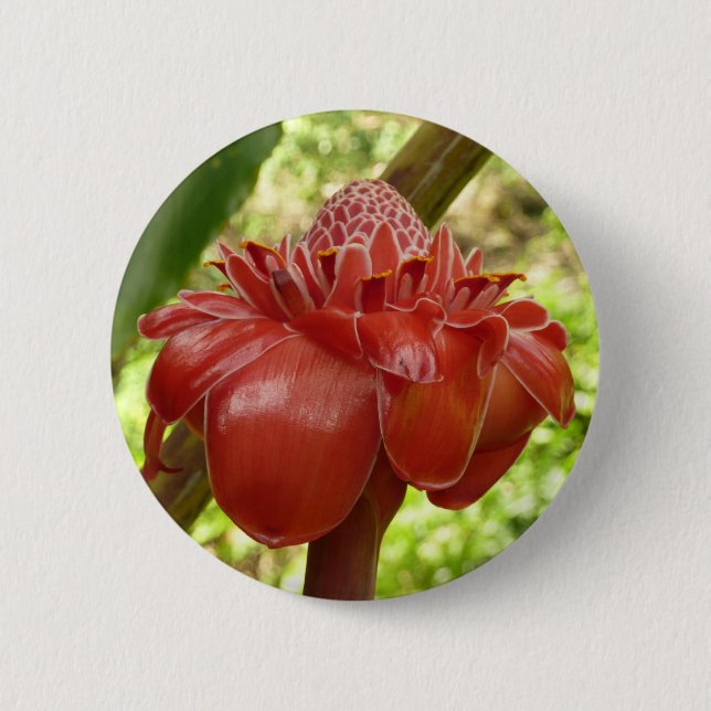 Red Torch Ginger Tropical Flower Fotografie Button (Vorderseite)