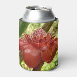 Red Torch Ginger Tropical Flower Fotografie Dosenkühler