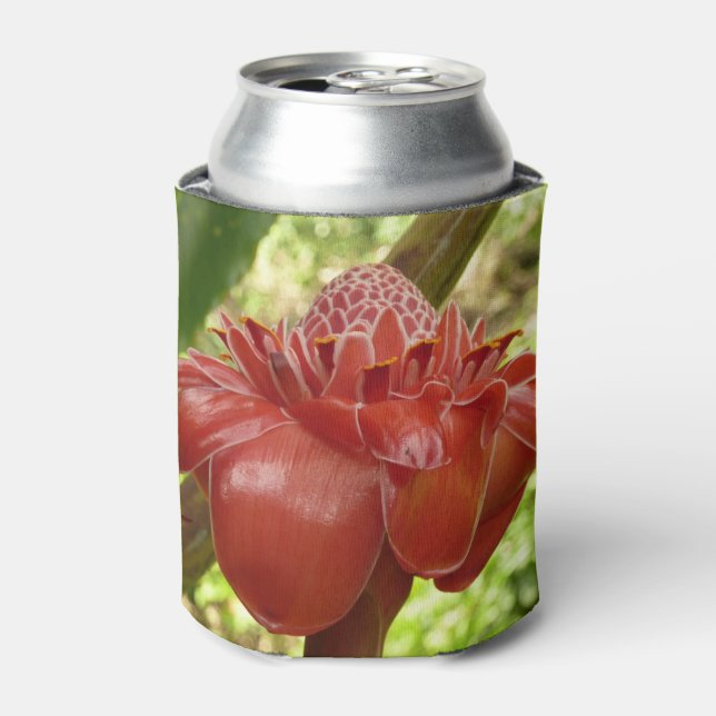Red Torch Ginger Tropical Flower Fotografie Dosenkühler (Kanne Vorderseite)