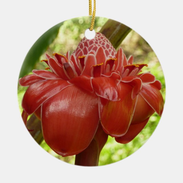 Red Torch Ginger Tropical Flower Fotografie Keramikornament (Vorne)