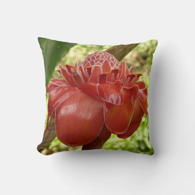 Red Torch Ginger Tropical Flower Fotografie Kissen (Vorderseite)