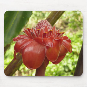 Red Torch Ginger Tropical Flower Fotografie Mousepad