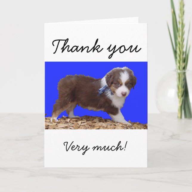 Red Tri Aussie Puppy Dankeskarte (Vorderseite)