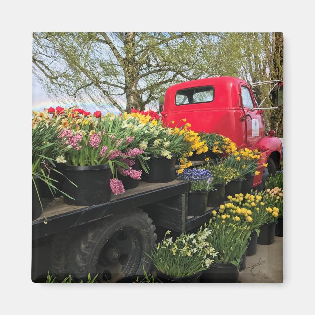 Red Truck mit Frühlingsblumen & Regenbogen Magnet (Vorne)