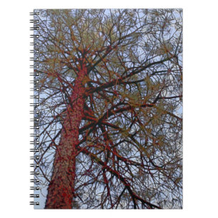 Red Trunk Pine Notizblock