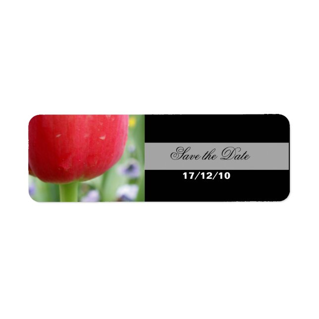 Red Tulip (Vorne)