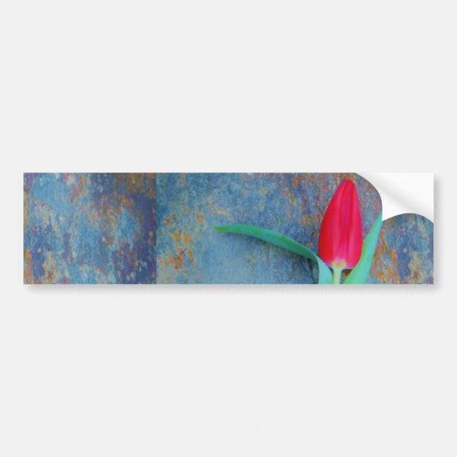 Red Tulip auf Blue Gray Slate Autoaufkleber (Vorne)