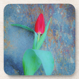 Red Tulip auf Blue Gray Slate Getränkeuntersetzer