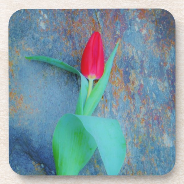 Red Tulip auf Blue Gray Slate Getränkeuntersetzer (Vorderseite)