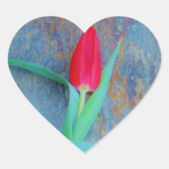 Red Tulip auf Blue Gray Slate Herz-Aufkleber (Vorderseite)